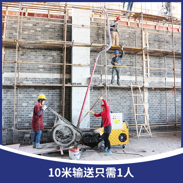 國(guó)旺構(gòu)造柱輸送泵