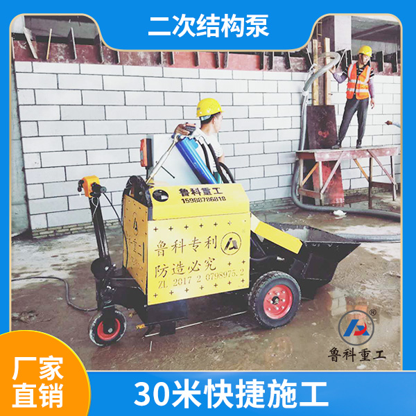 小型二次結(jié)構(gòu)專(zhuān)用泵